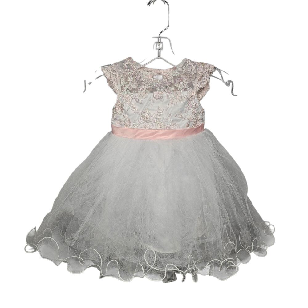 Rare Editions Formal Flower Girl Tulle + Embroidered Lace Layered Poofy Dress 2T
